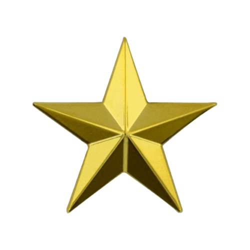 Custom Star Pins